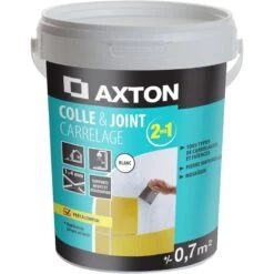 Colle Et Joint 2 En 1 Multifonction Mur Intérieur, Blanc, 1m² AXTON