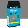 Joint, Poudre AXTON Gris 1 Kg, 2 M²